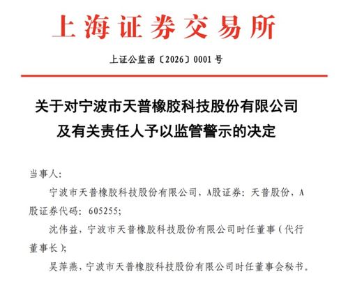 AI軟件開(kāi)發(fā)公司突遭證監(jiān)會(huì)立案調(diào)查，行業(yè)監(jiān)管風(fēng)暴或?qū)㈤_(kāi)啟